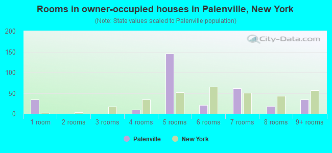 Rooms in owner-occupied houses in Palenville, New York
