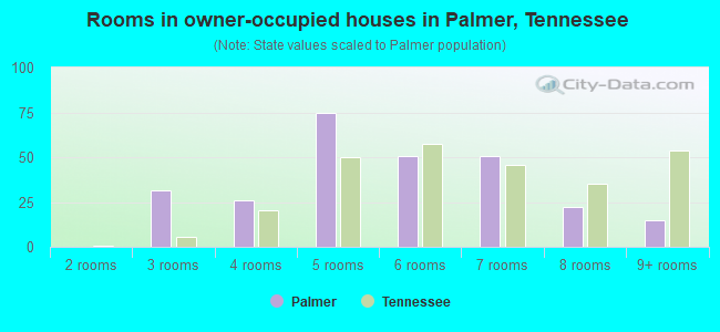 Rooms in owner-occupied houses in Palmer, Tennessee