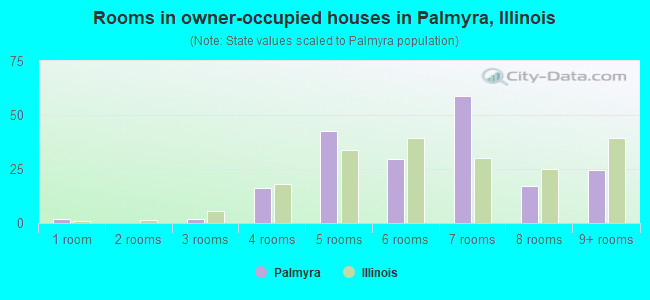 Rooms in owner-occupied houses in Palmyra, Illinois