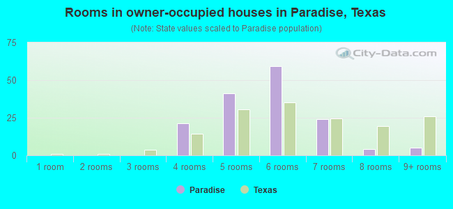 Rooms in owner-occupied houses in Paradise, Texas