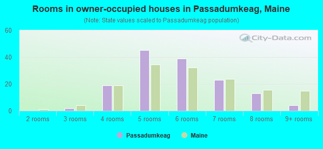 Rooms in owner-occupied houses in Passadumkeag, Maine