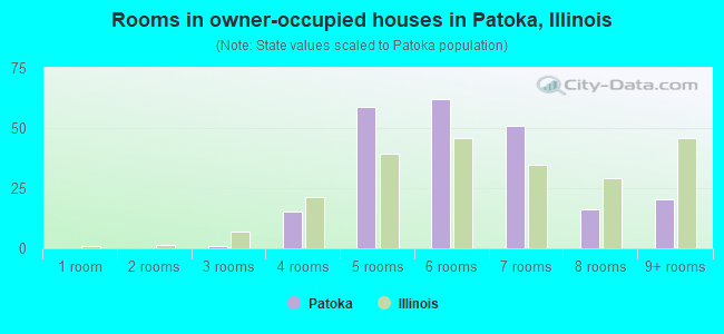 Rooms in owner-occupied houses in Patoka, Illinois