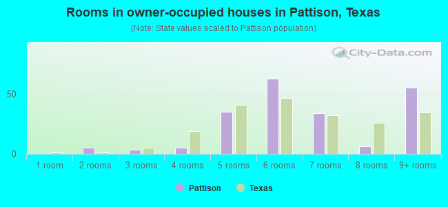 Rooms in owner-occupied houses in Pattison, Texas