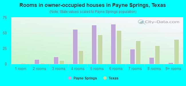 Rooms in owner-occupied houses in Payne Springs, Texas