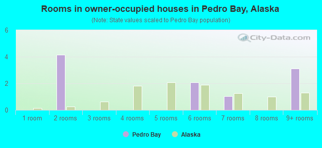 Rooms in owner-occupied houses in Pedro Bay, Alaska