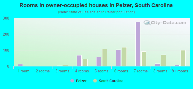 Rooms in owner-occupied houses in Pelzer, South Carolina