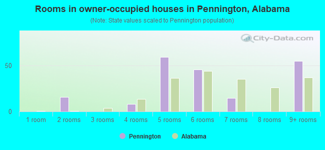 Rooms in owner-occupied houses in Pennington, Alabama