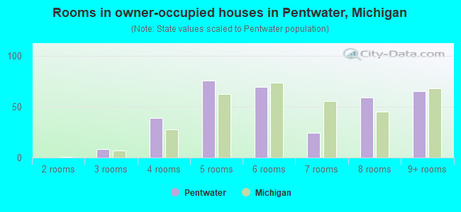 Rooms in owner-occupied houses in Pentwater, Michigan