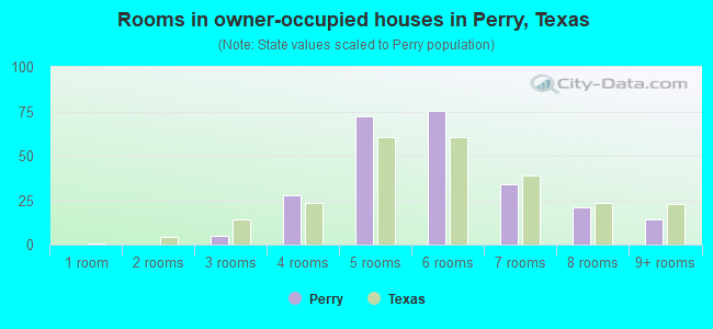 Rooms in owner-occupied houses in Perry, Texas