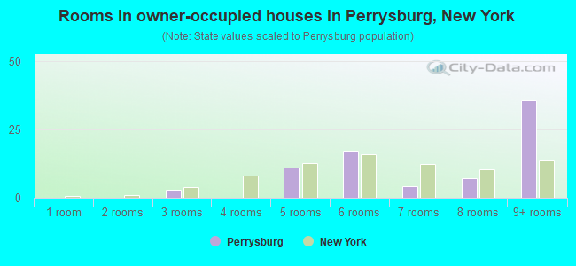 Rooms in owner-occupied houses in Perrysburg, New York