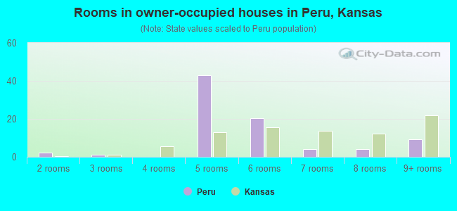Rooms in owner-occupied houses in Peru, Kansas