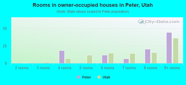 Rooms in owner-occupied houses in Peter, Utah