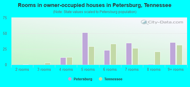 Rooms in owner-occupied houses in Petersburg, Tennessee
