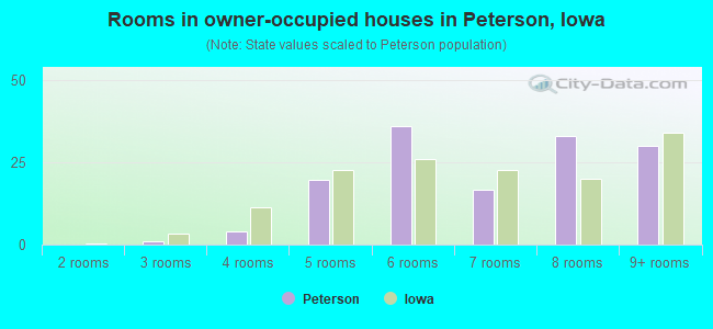 Rooms in owner-occupied houses in Peterson, Iowa