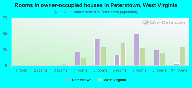 Rooms in owner-occupied houses in Peterstown, West Virginia