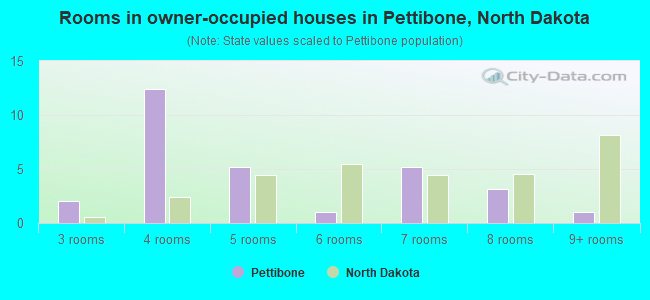 Rooms in owner-occupied houses in Pettibone, North Dakota