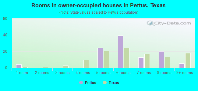 Rooms in owner-occupied houses in Pettus, Texas