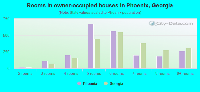 Rooms in owner-occupied houses in Phoenix, Georgia