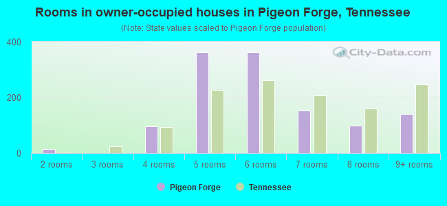 Rooms in owner-occupied houses in Pigeon Forge, Tennessee
