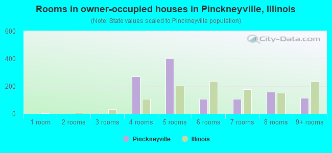 Rooms in owner-occupied houses in Pinckneyville, Illinois