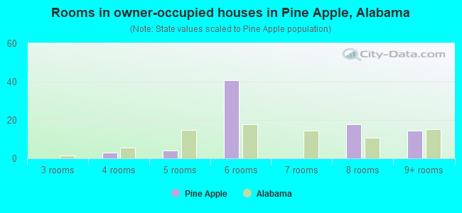 Rooms in owner-occupied houses in Pine Apple, Alabama