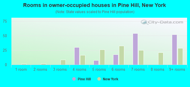 Rooms in owner-occupied houses in Pine Hill, New York