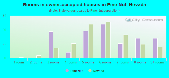 Rooms in owner-occupied houses in Pine Nut, Nevada