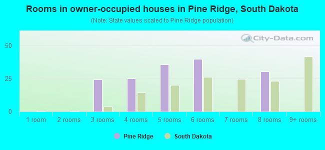 Rooms in owner-occupied houses in Pine Ridge, South Dakota