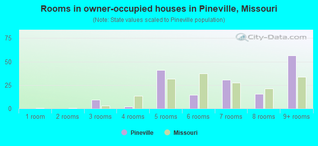 Rooms in owner-occupied houses in Pineville, Missouri