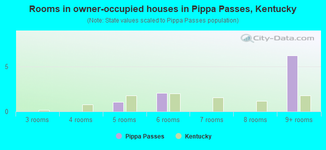 Rooms in owner-occupied houses in Pippa Passes, Kentucky