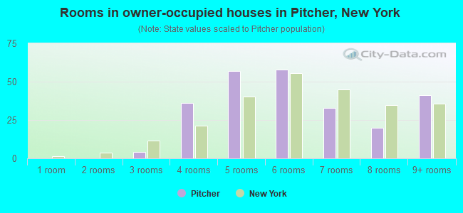 Rooms in owner-occupied houses in Pitcher, New York