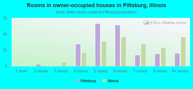 Rooms in owner-occupied houses in Pittsburg, Illinois