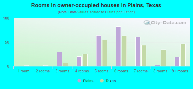 Rooms in owner-occupied houses in Plains, Texas