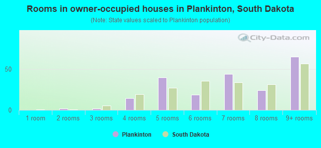 Rooms in owner-occupied houses in Plankinton, South Dakota