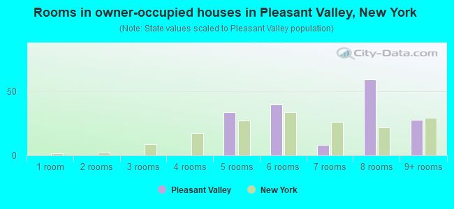 Rooms in owner-occupied houses in Pleasant Valley, New York