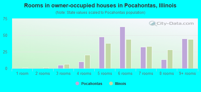 Rooms in owner-occupied houses in Pocahontas, Illinois