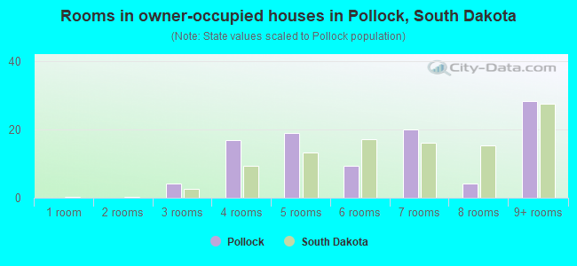 Rooms in owner-occupied houses in Pollock, South Dakota