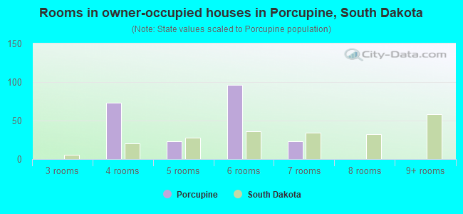 Rooms in owner-occupied houses in Porcupine, South Dakota