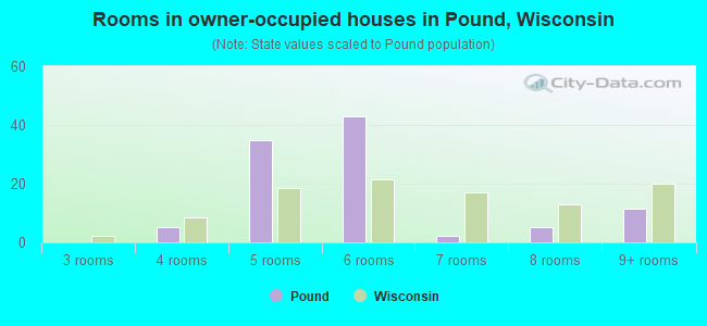 Rooms in owner-occupied houses in Pound, Wisconsin