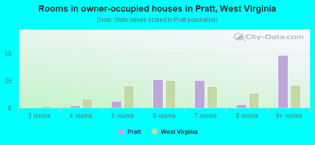 Rooms in owner-occupied houses in Pratt, West Virginia
