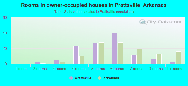 Rooms in owner-occupied houses in Prattsville, Arkansas