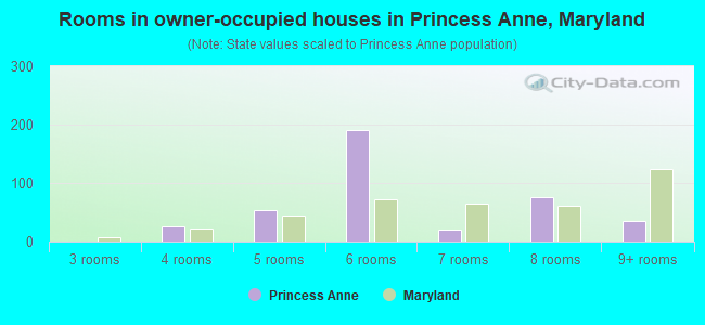 Rooms in owner-occupied houses in Princess Anne, Maryland