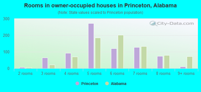 Rooms in owner-occupied houses in Princeton, Alabama
