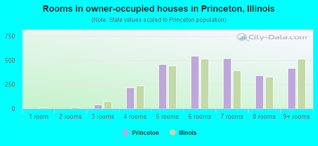 Rooms in owner-occupied houses in Princeton, Illinois