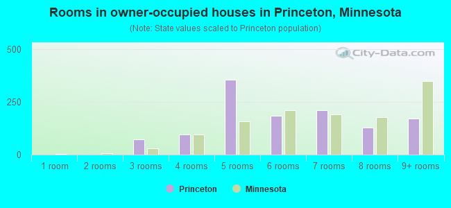 Rooms in owner-occupied houses in Princeton, Minnesota