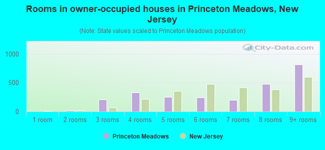 Rooms in owner-occupied houses in Princeton Meadows, New Jersey