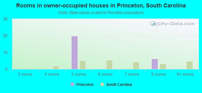 Rooms in owner-occupied houses in Princeton, South Carolina