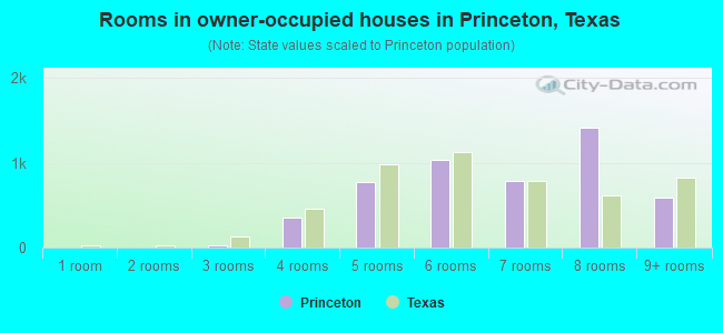 Rooms in owner-occupied houses in Princeton, Texas