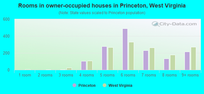 Rooms in owner-occupied houses in Princeton, West Virginia