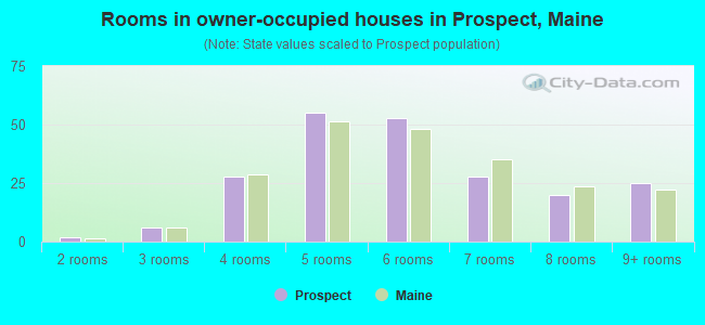Rooms in owner-occupied houses in Prospect, Maine